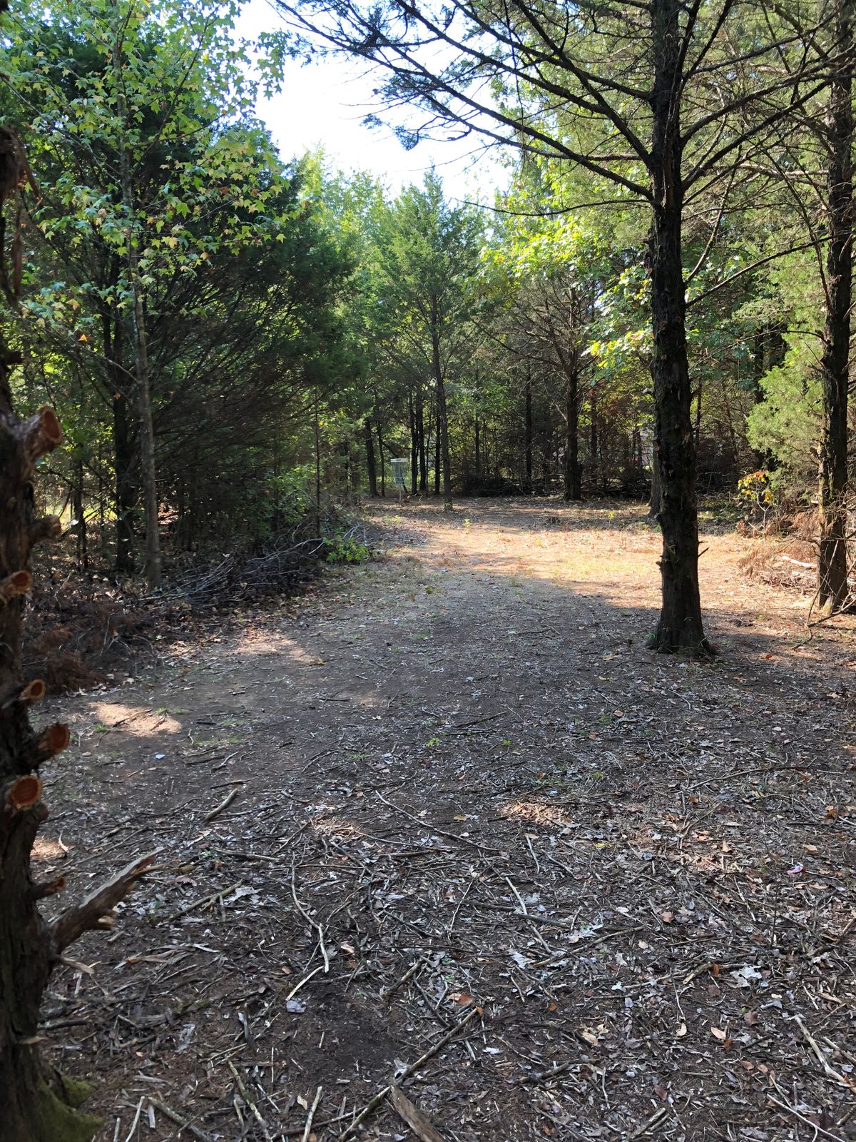 Conway Glow League - Conway Glow Mini - Conway Glow League