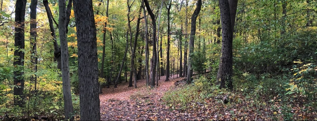 Lufbery Sunday Doubles