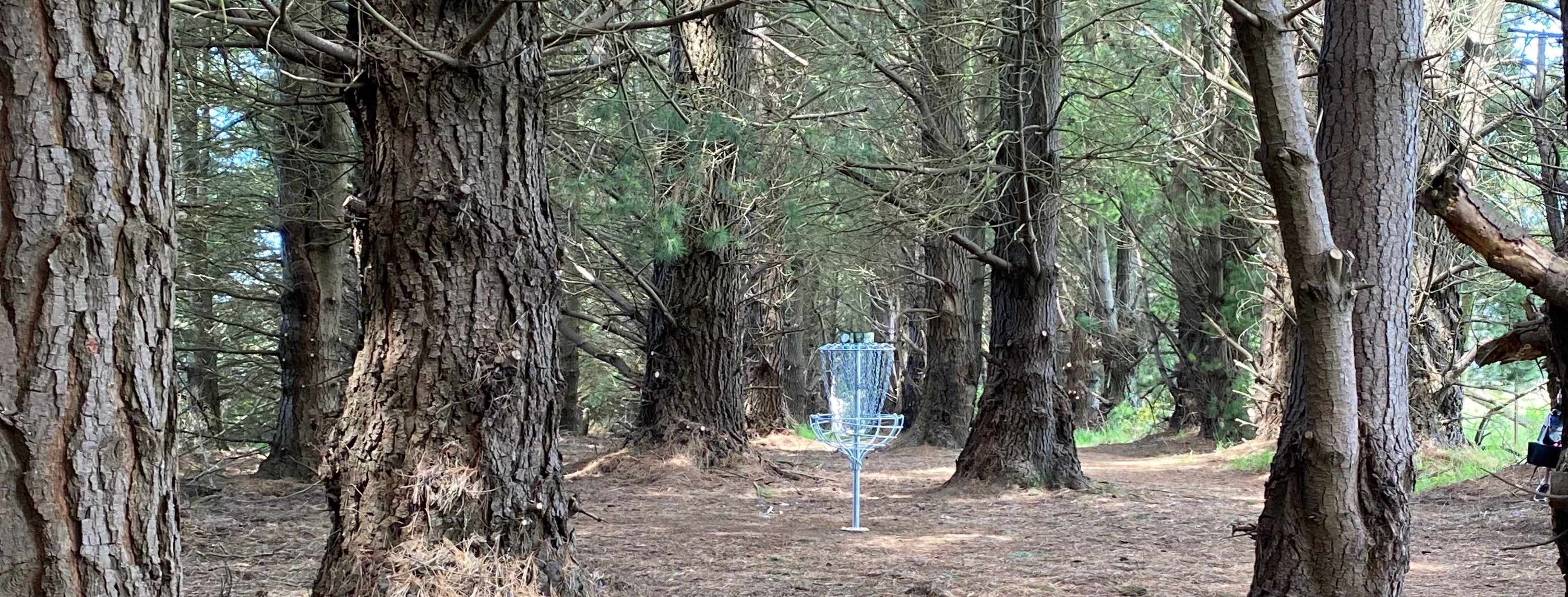 Dunedin Autumn/Winter League