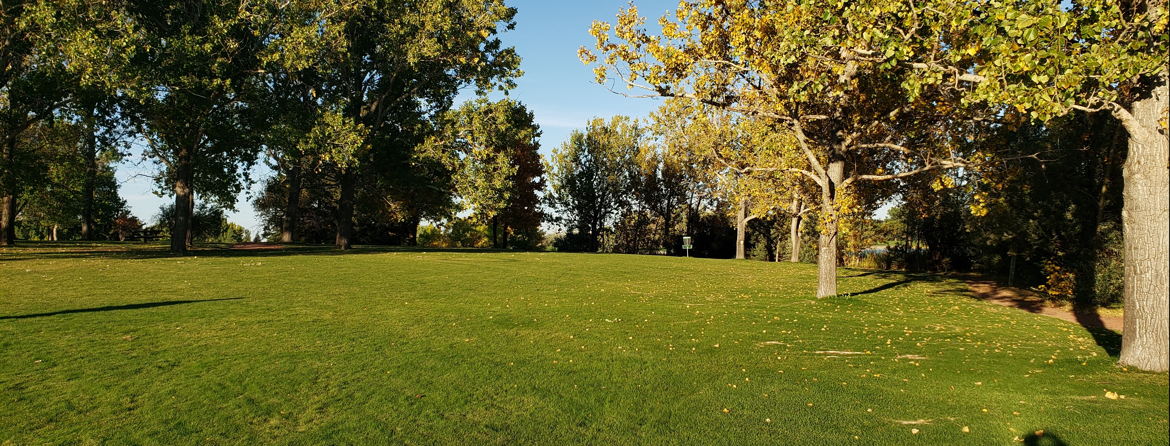 LDGA league night  - Nicholas Sheran