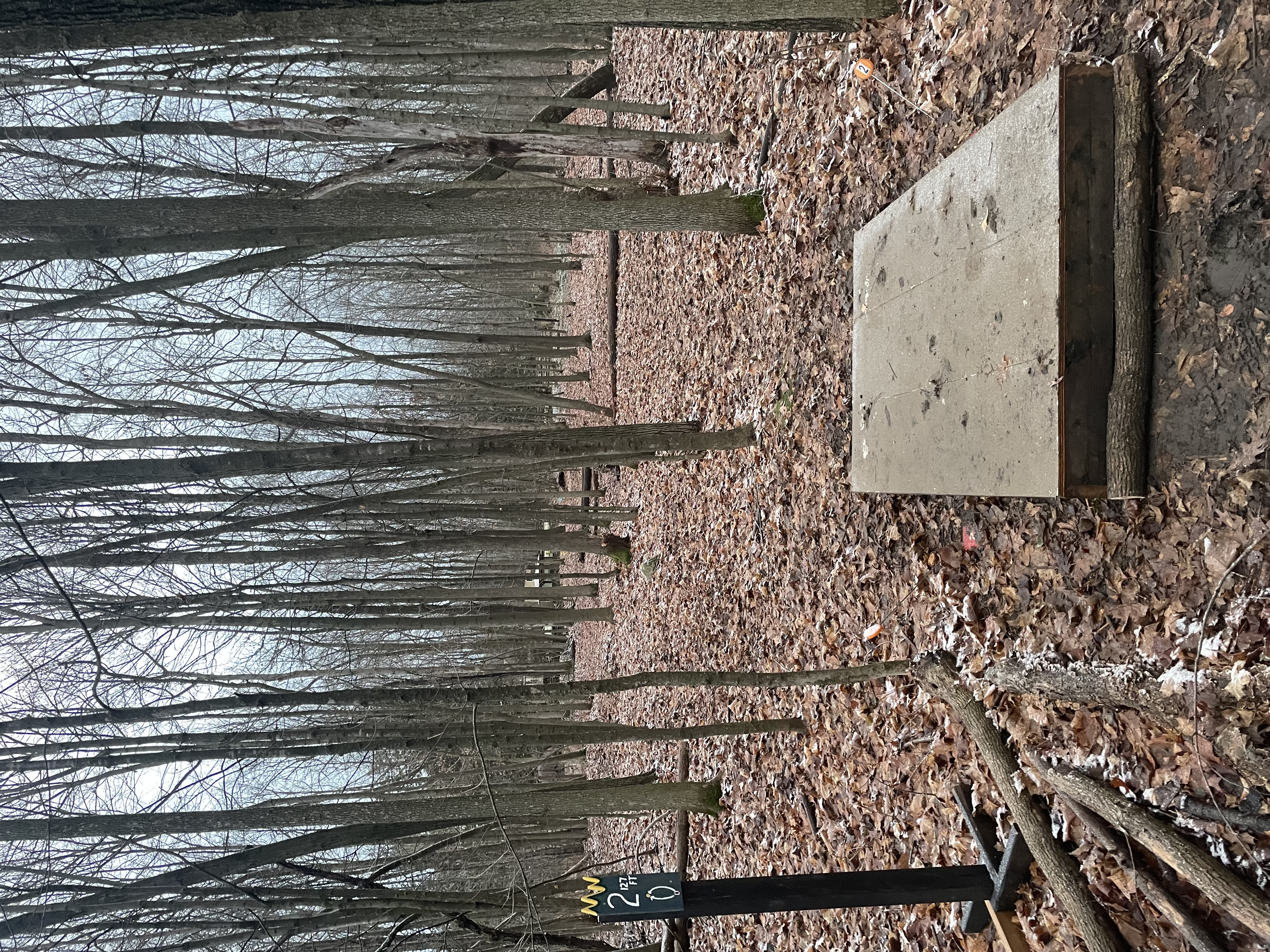 Maitland Sunday winter league