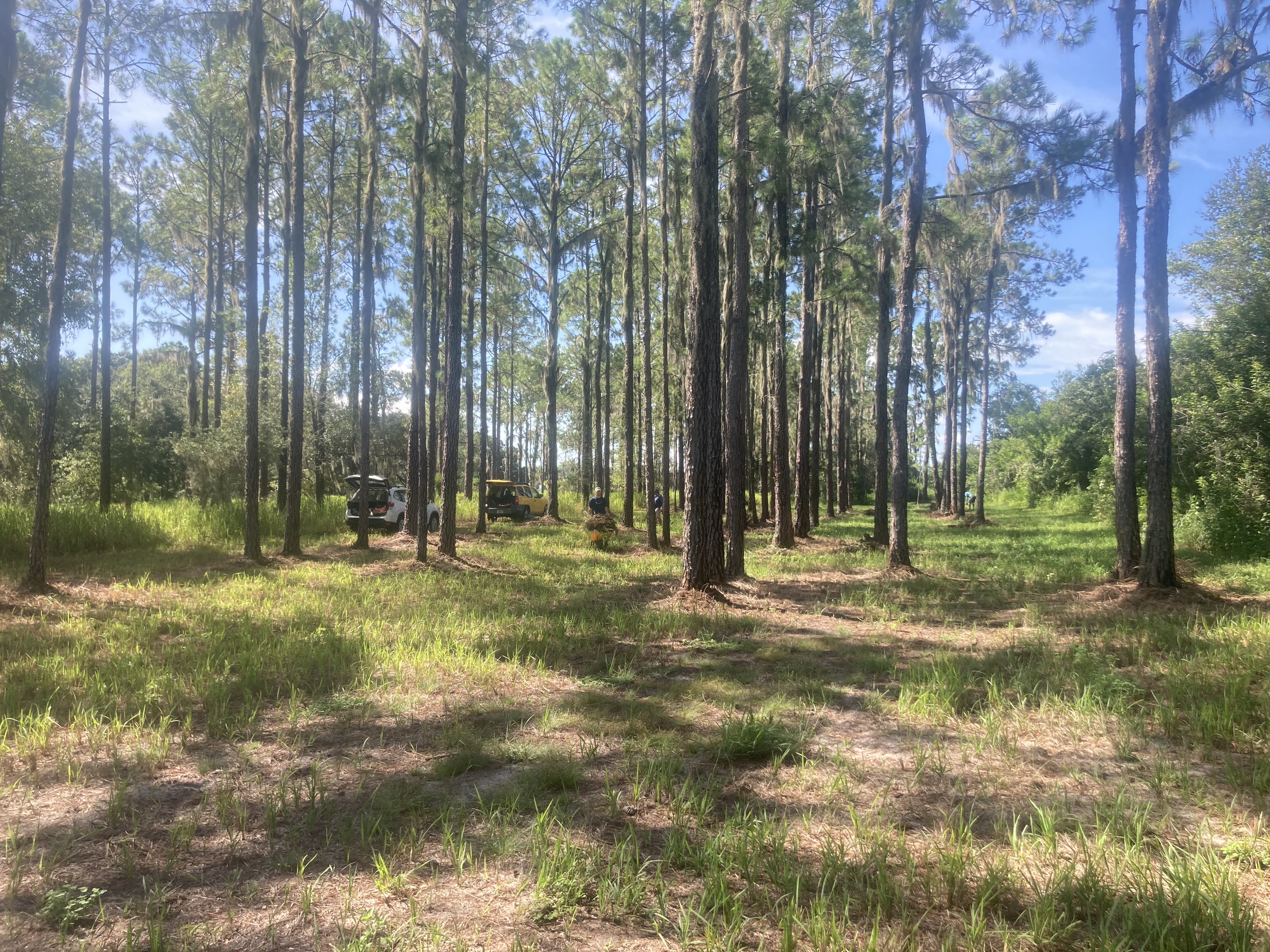 Peace River Doubles - Caleb’s birthday event