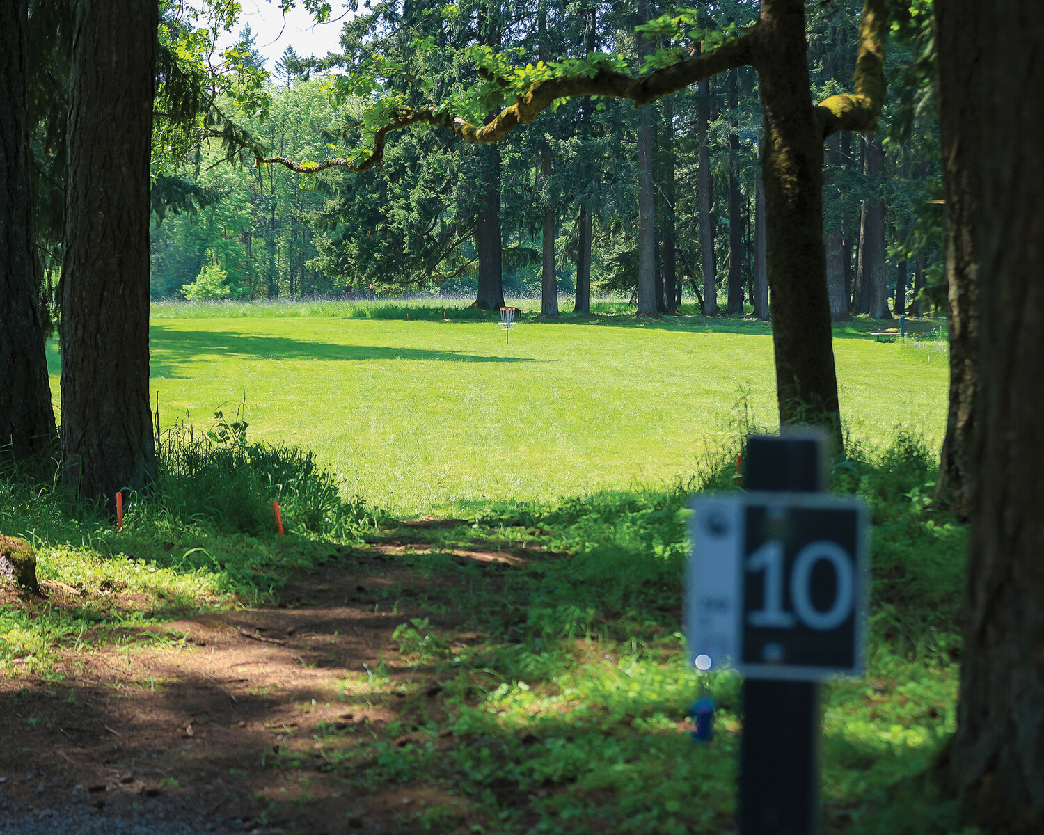 Hockinson Meadows DGC - Hock DGC after-cardy - Cali Singles