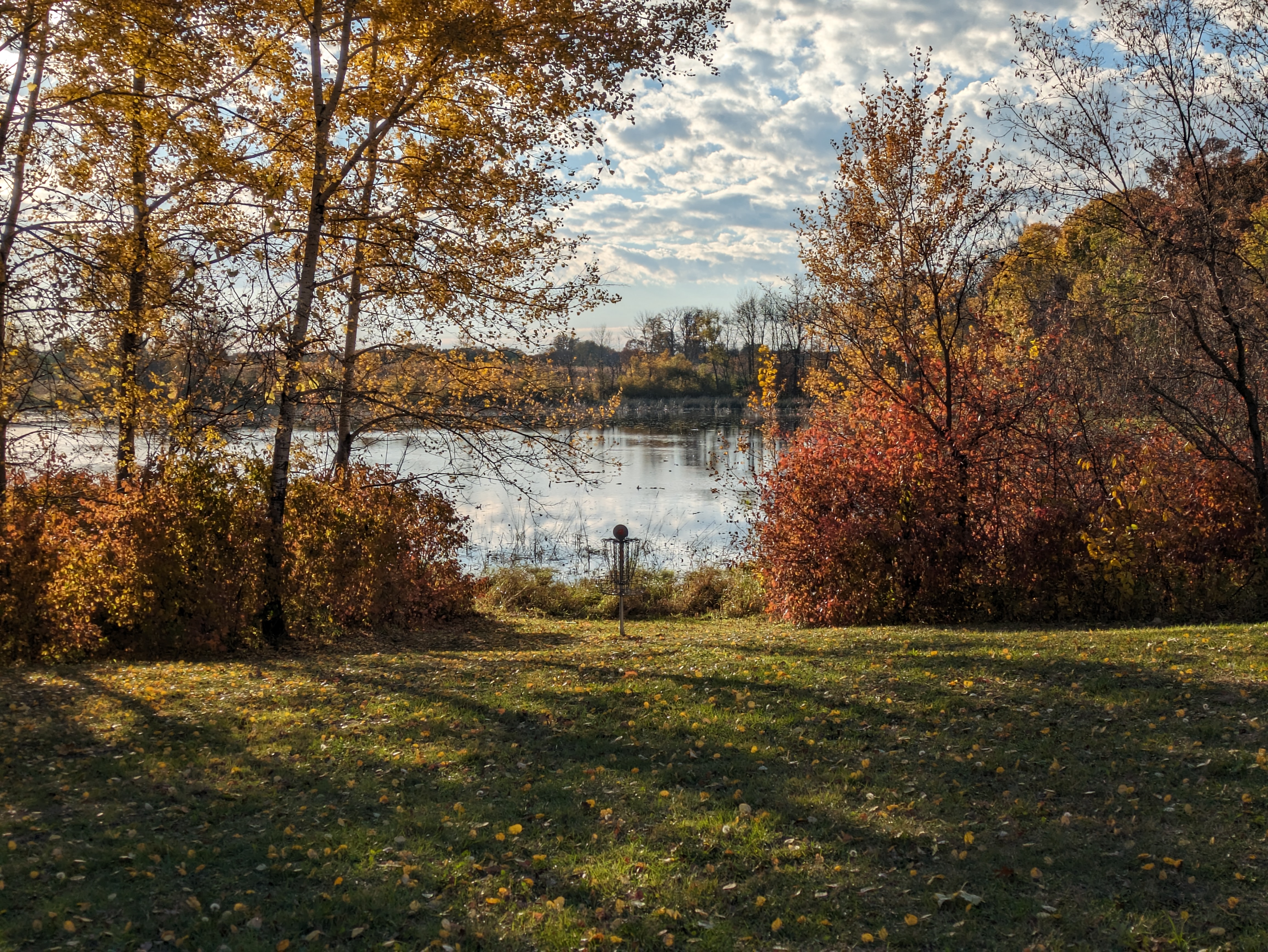 Springvale Weekly  - Free Preseason Random Dubs