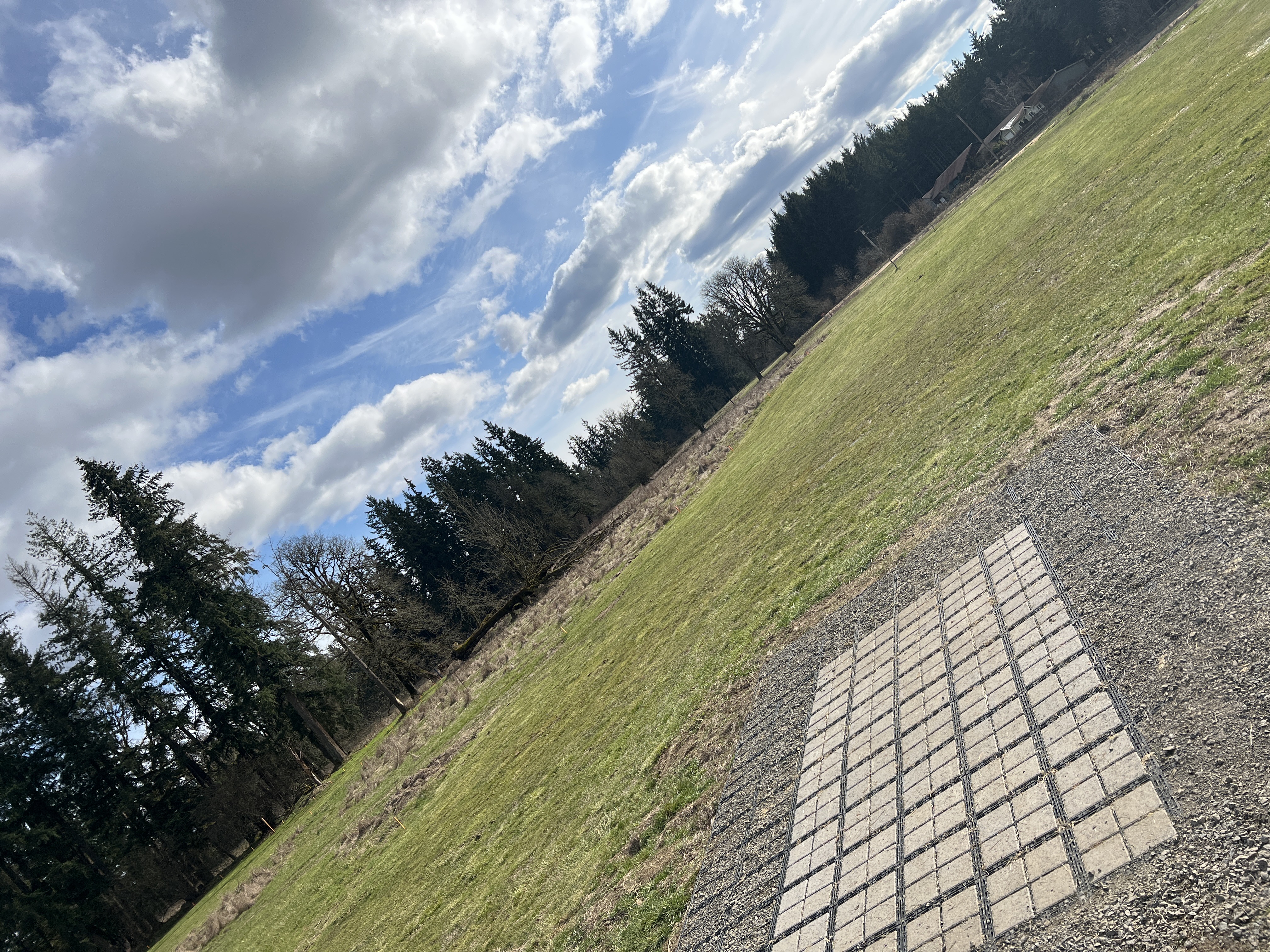 Hockinson Meadows DGC - Hockinson Meadows Doubles