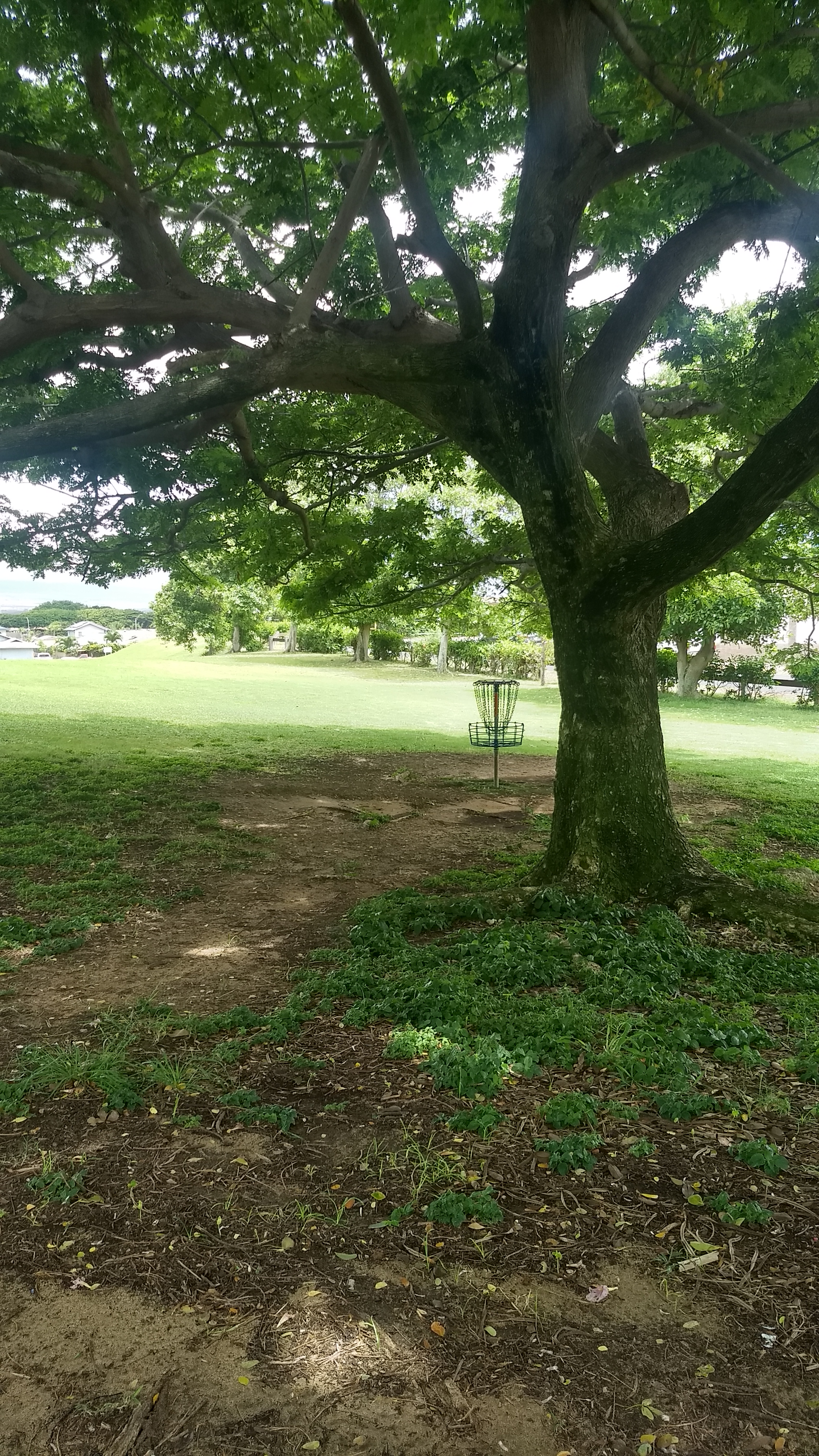 KCC weekly random doubles