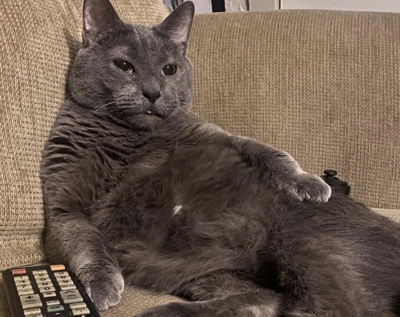 Sunday Doubles @ Hiestand  - Sunday Doubles @ Hiestand