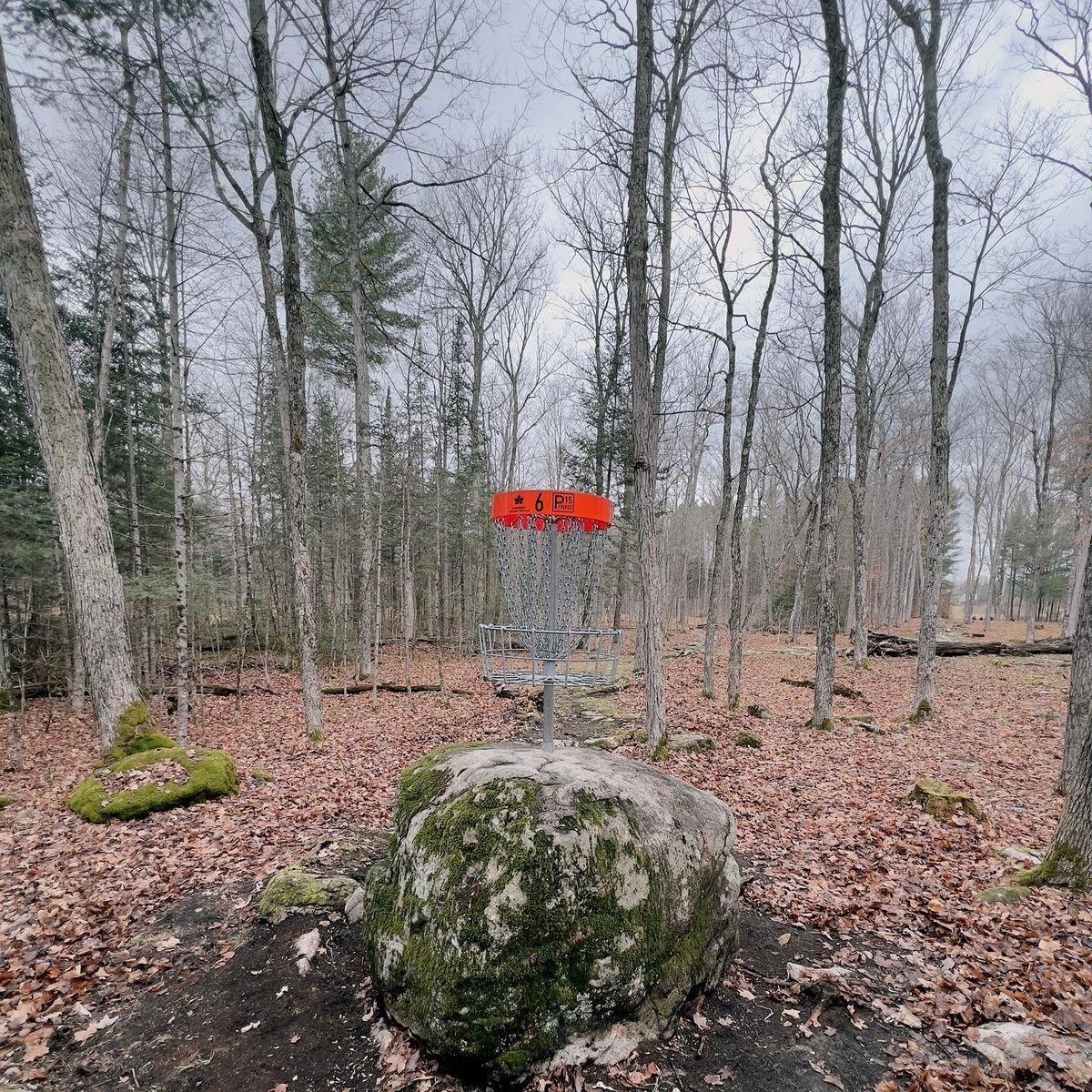 Red Eagle League at Project15