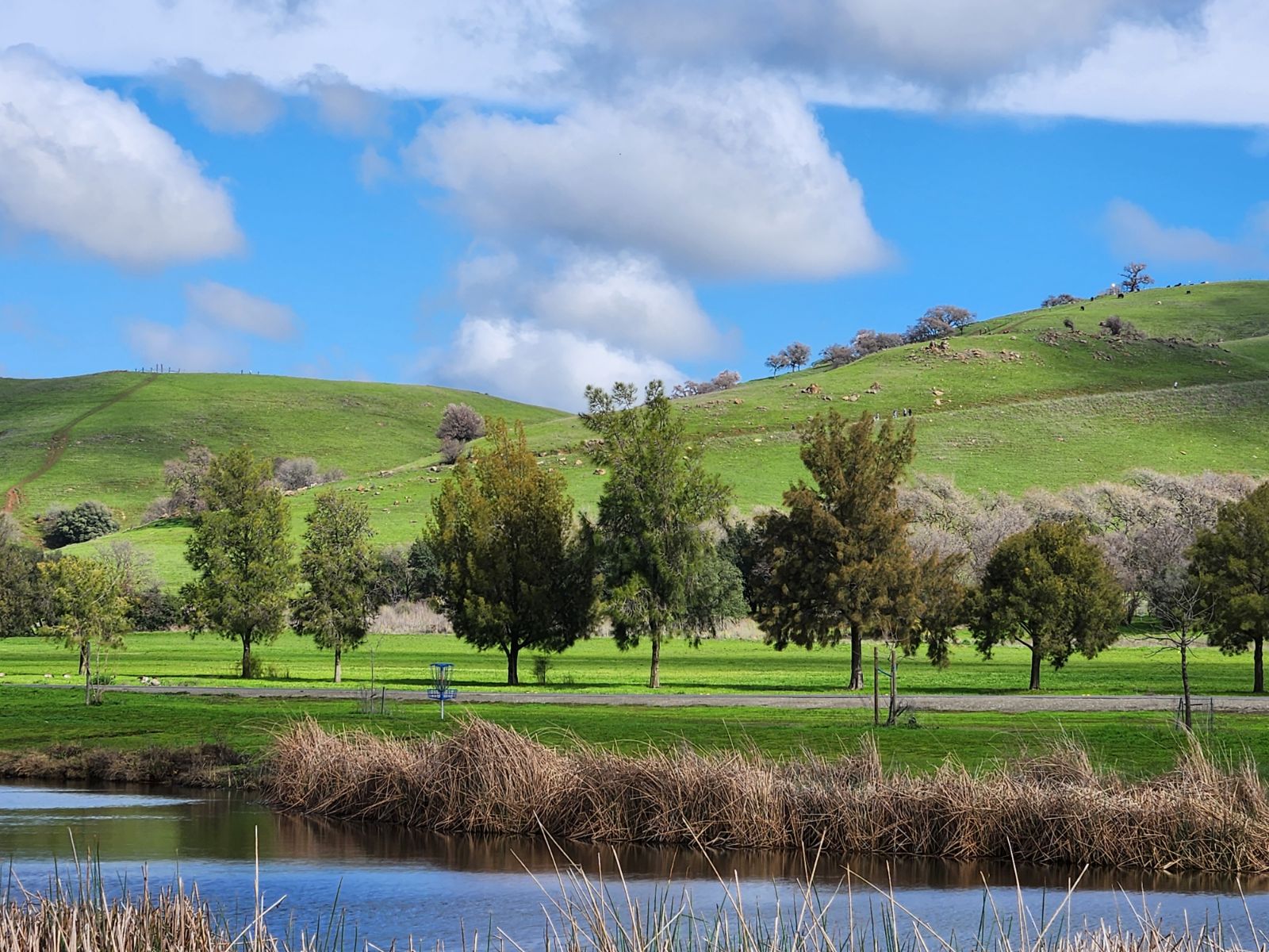 LGVDGC Bag Tag Monthly - 2026 Lagoon Valley DGC Bag Tag Round