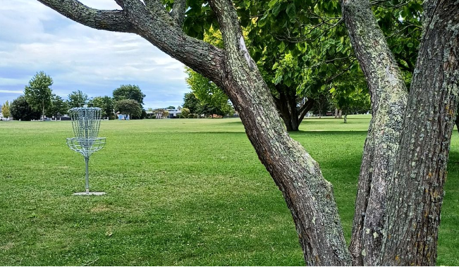 Anderson Park Social Tuesdays - Anderson Park Social Sessions