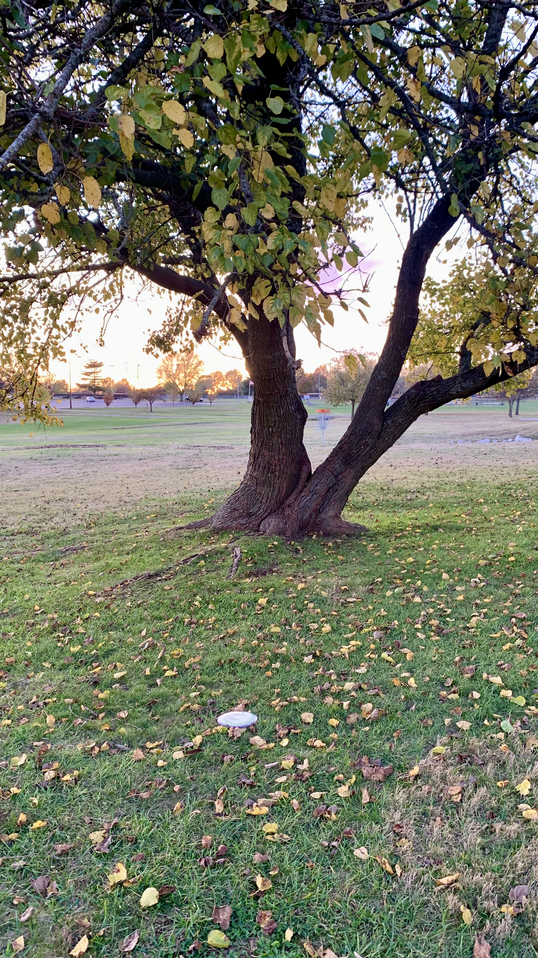 Lucky Legends - Lucky Legends- LOTC Doubles