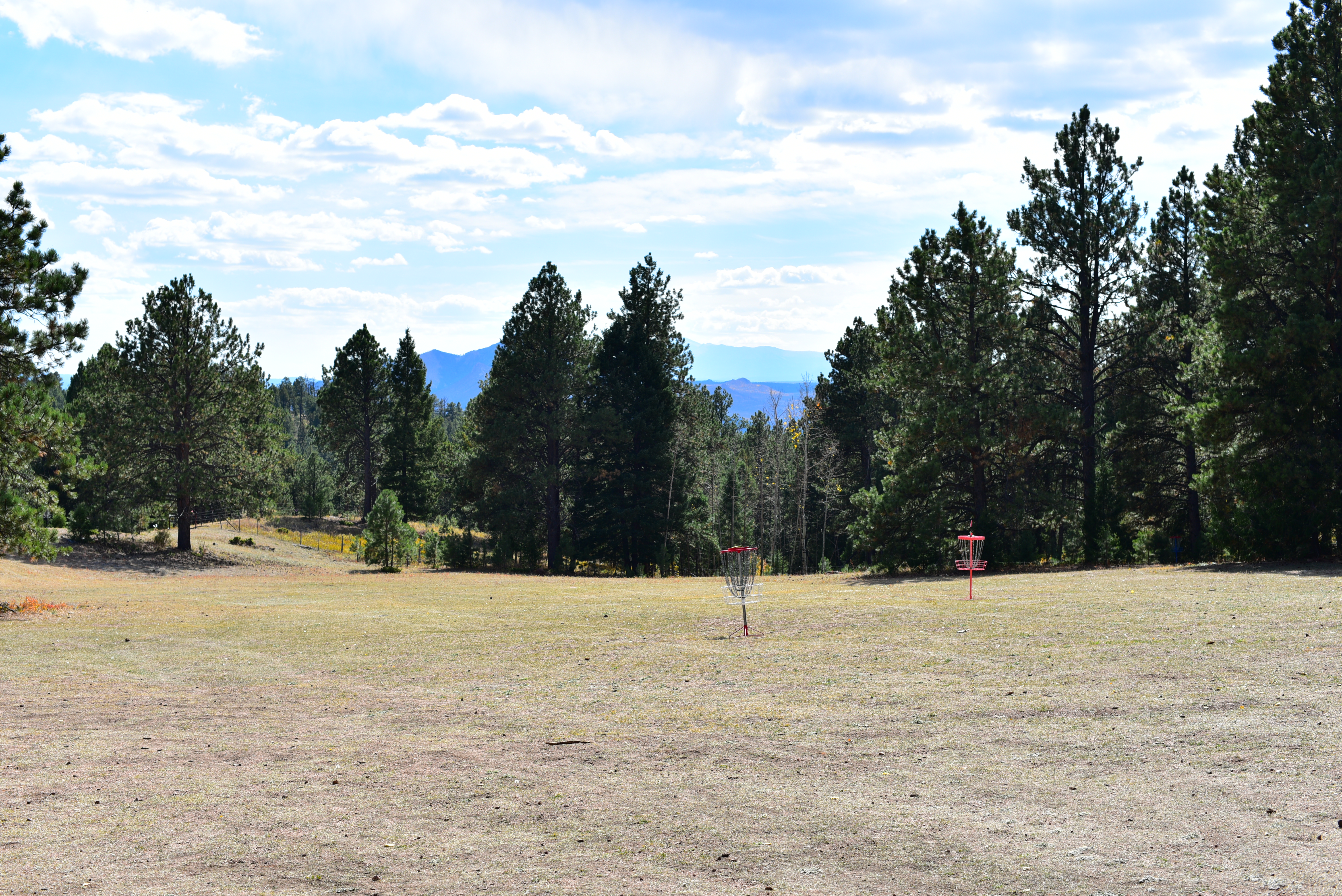 Weekly Rotating Random Doubles! - Random Doubles at Bird's Nest on Saturday at Noon