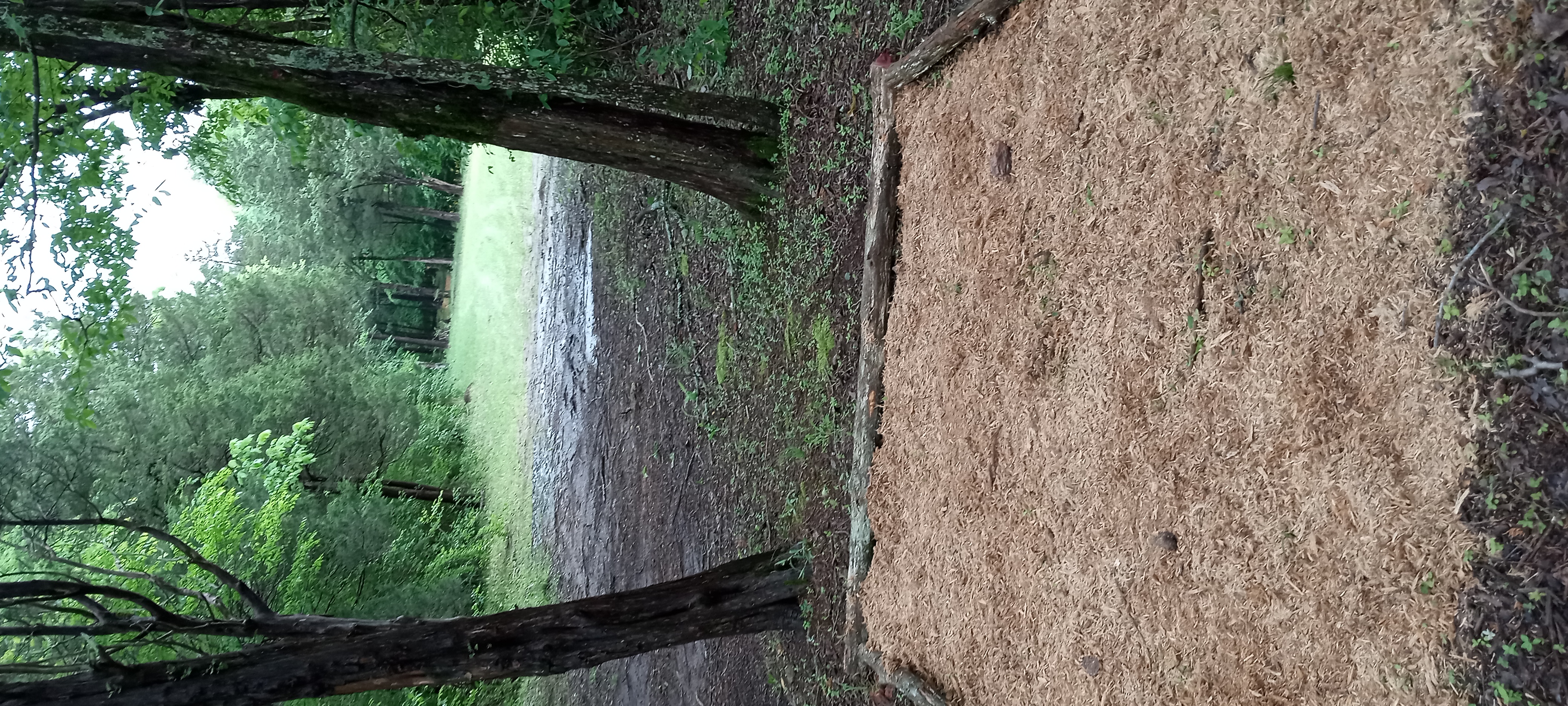 Tuesday Night League. 