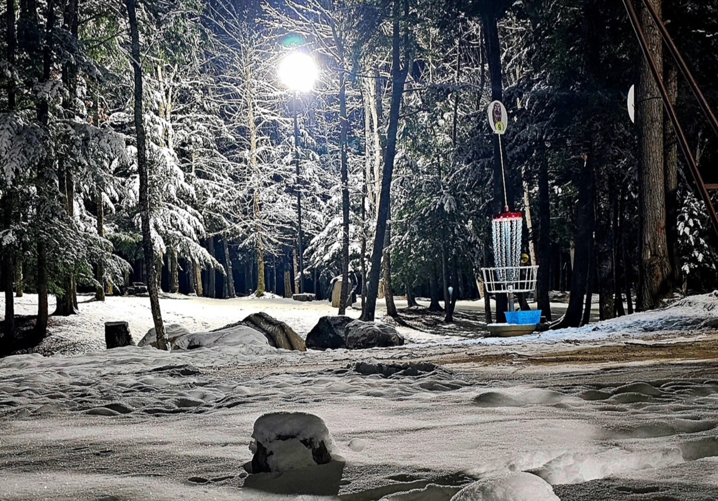 Owl Singles Thursday - Owl Singles Thursdays