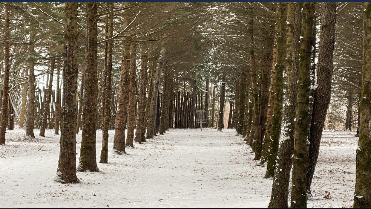 Winter Wizards 2025 - BIRDS RUINS