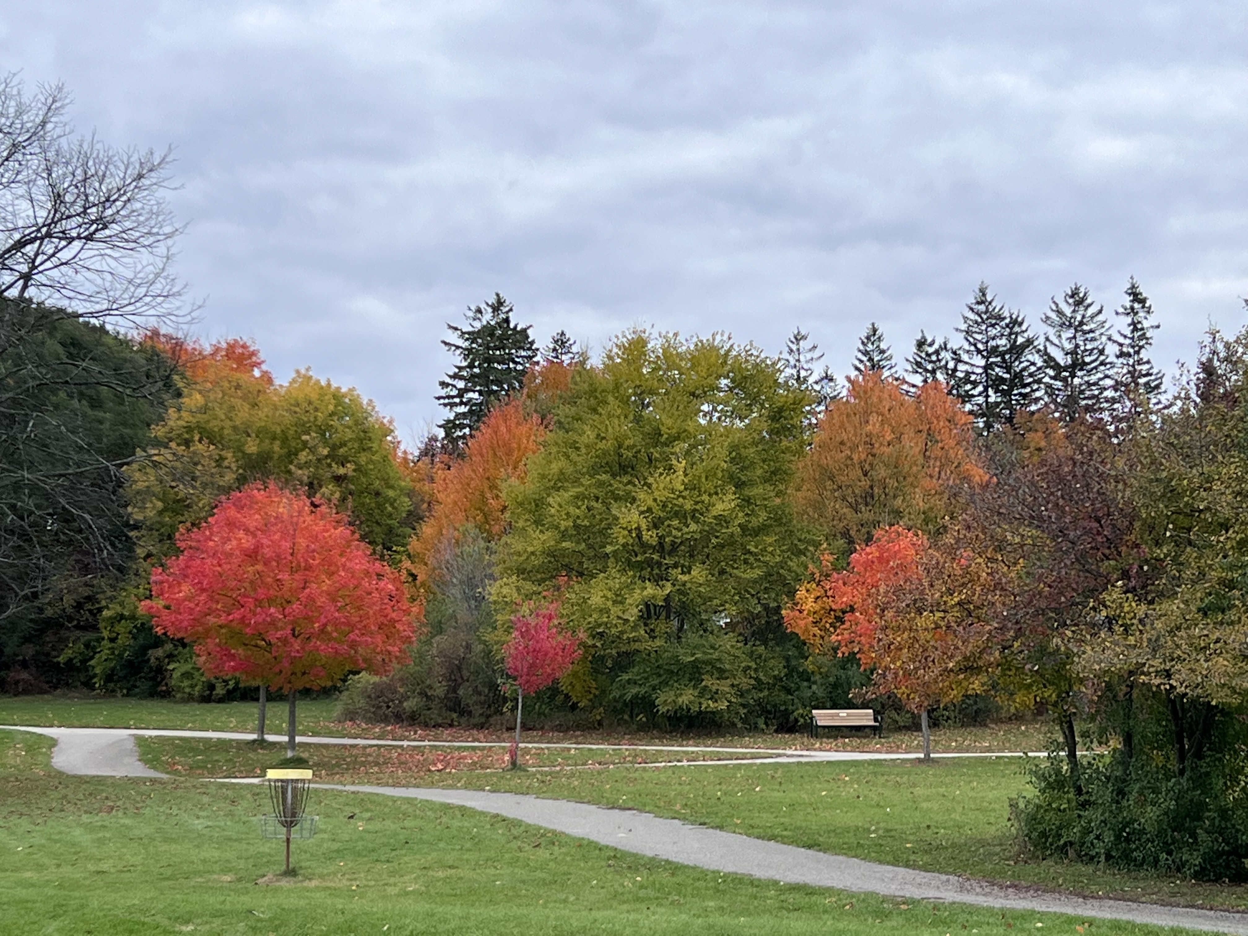 Orillia DGC - Monday League - Week 15 - Tudhope Park