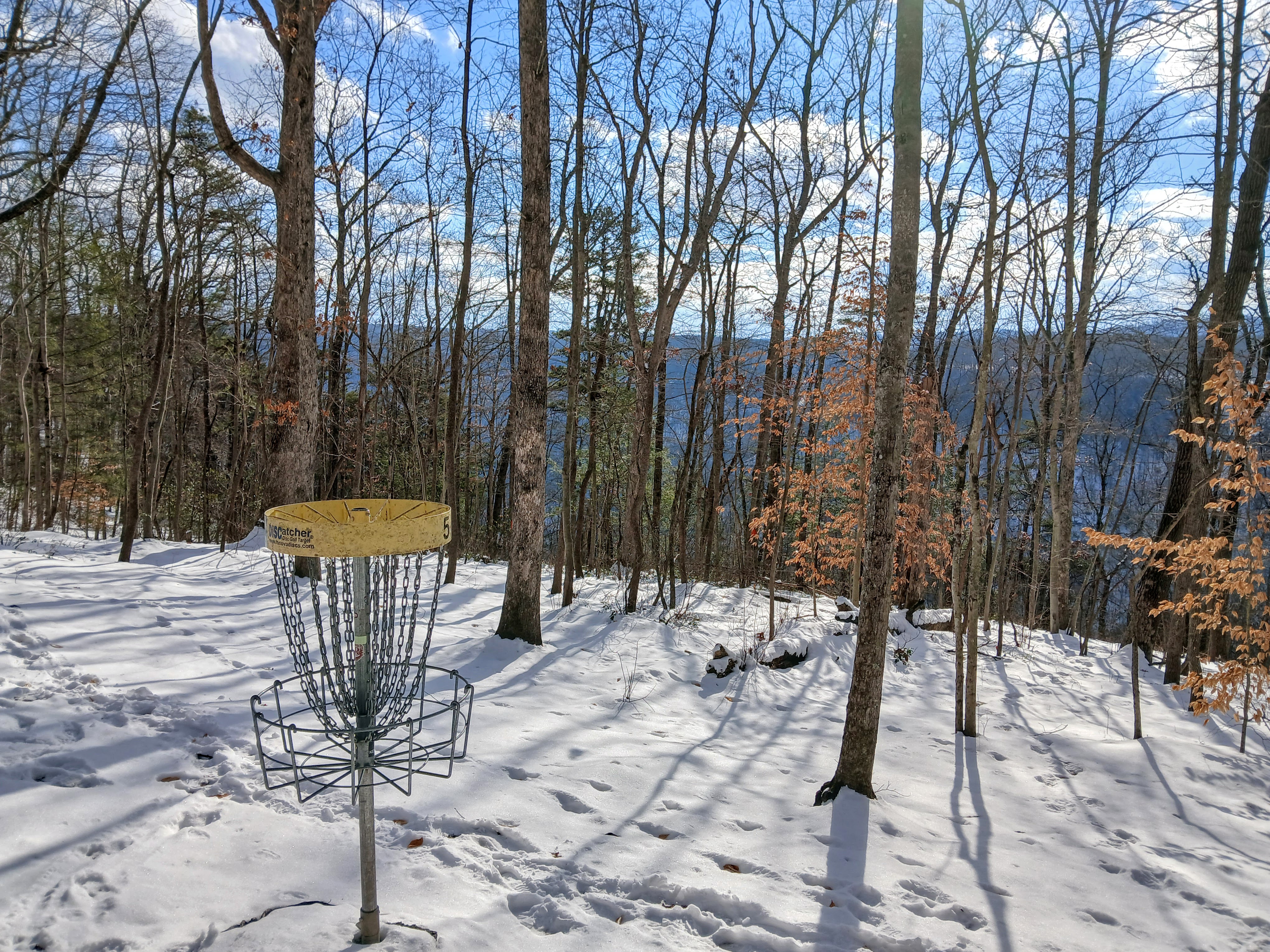 Fayette County Disc Golf - Glow dubs at Needleseye