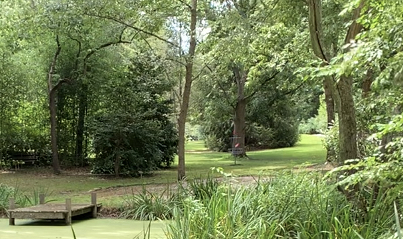 Beaver Branch - Spring Ching - Blue Layout