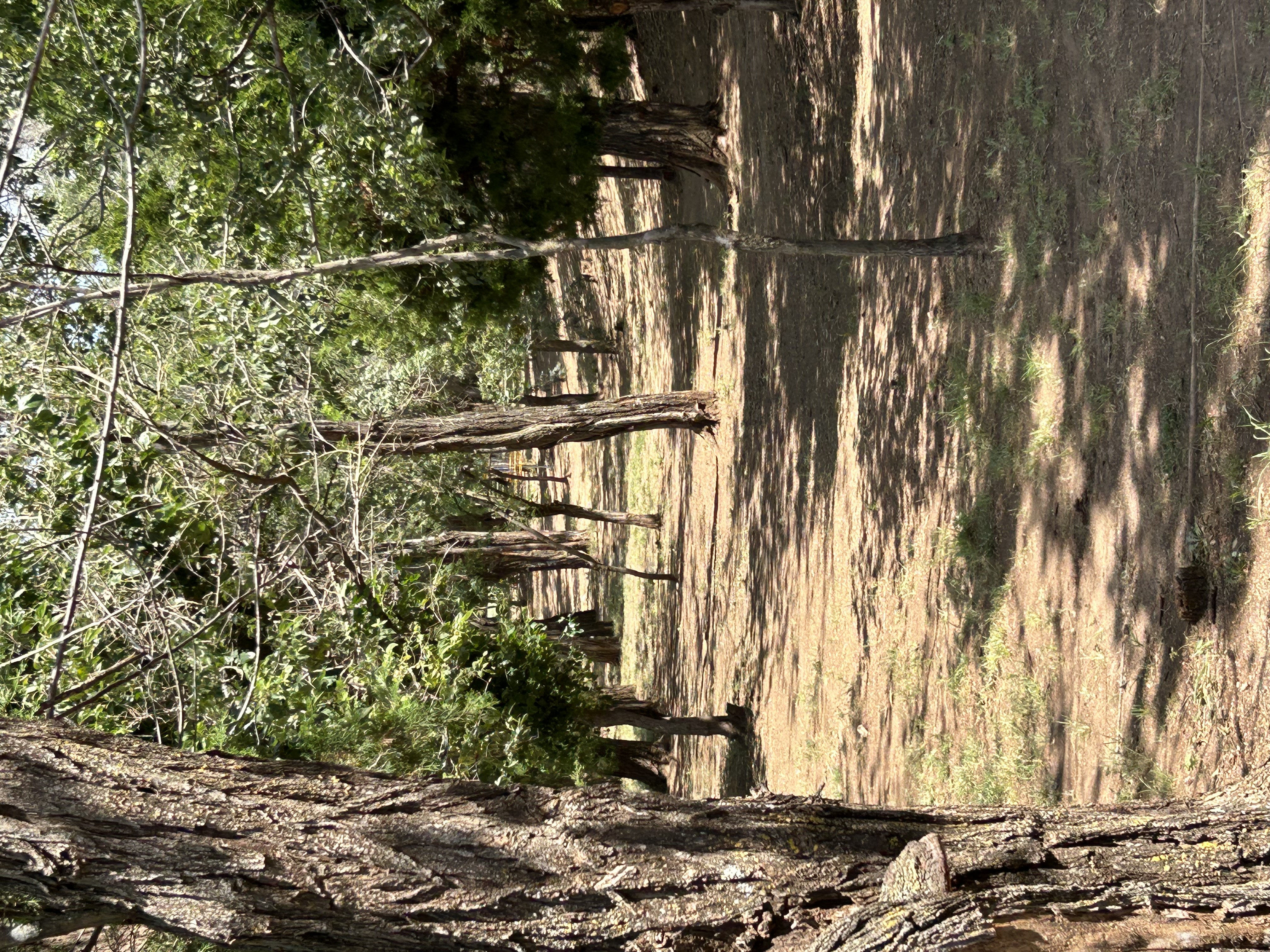 Anthony Lake - Attica Food Drive 2026 KDGA Oz Tour Event