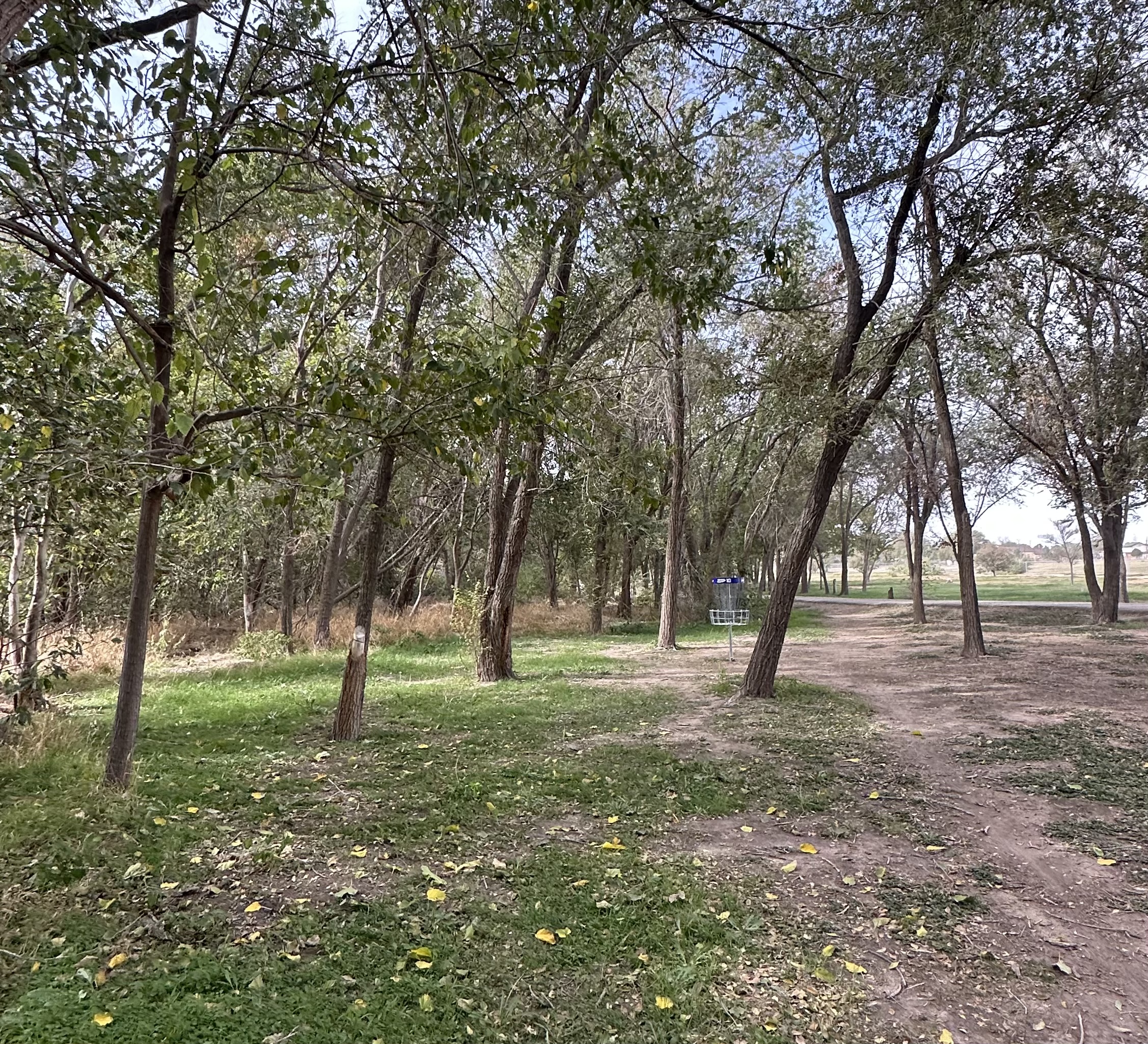 Odessa discgolf  - Odga Sunday singles