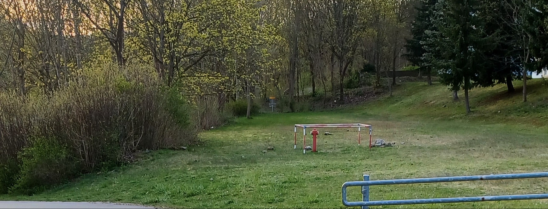 Discgolfliga Schwerin - Tuesday Afterwork