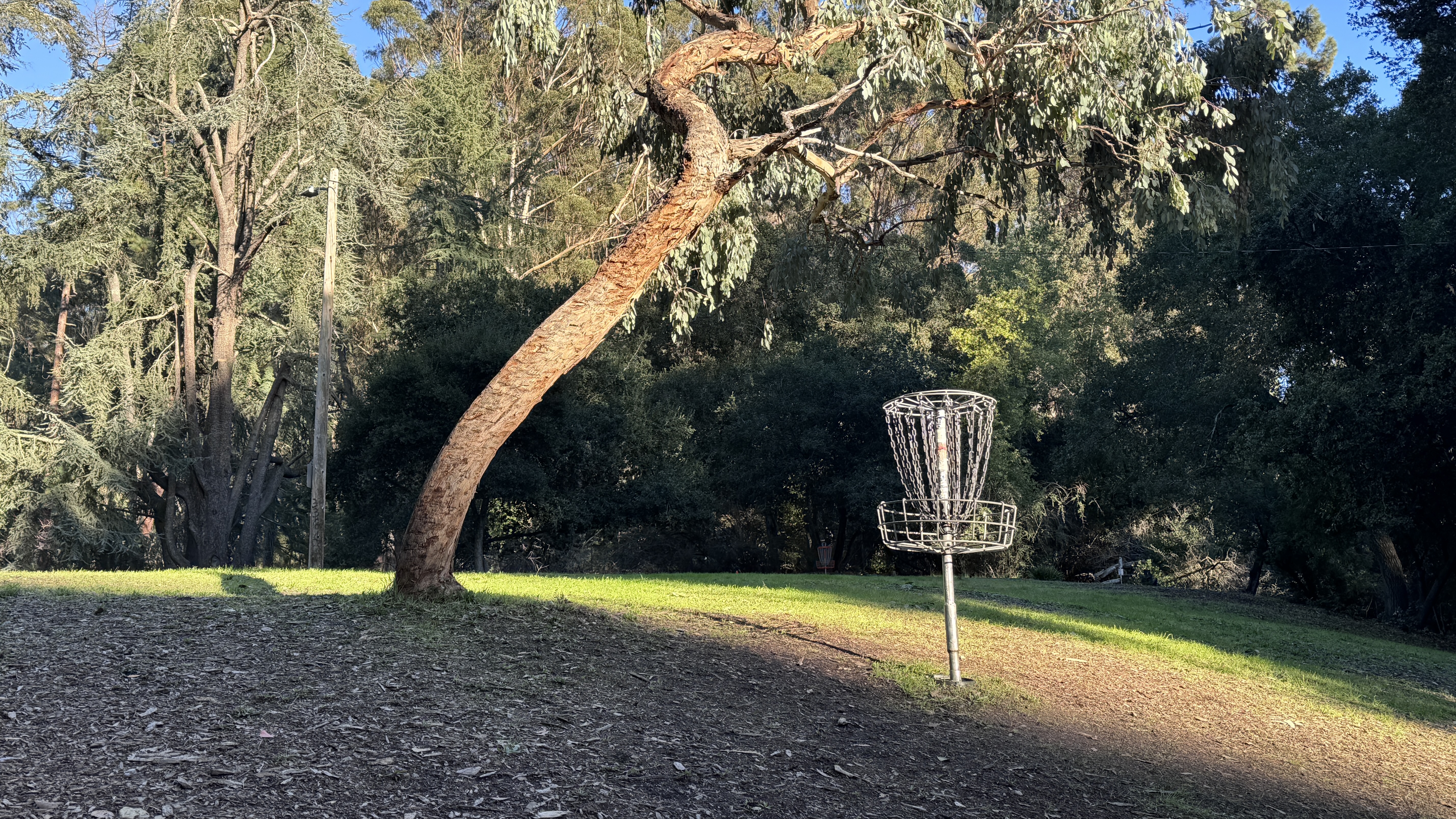 Chabot Park Weekly  - The Weekly