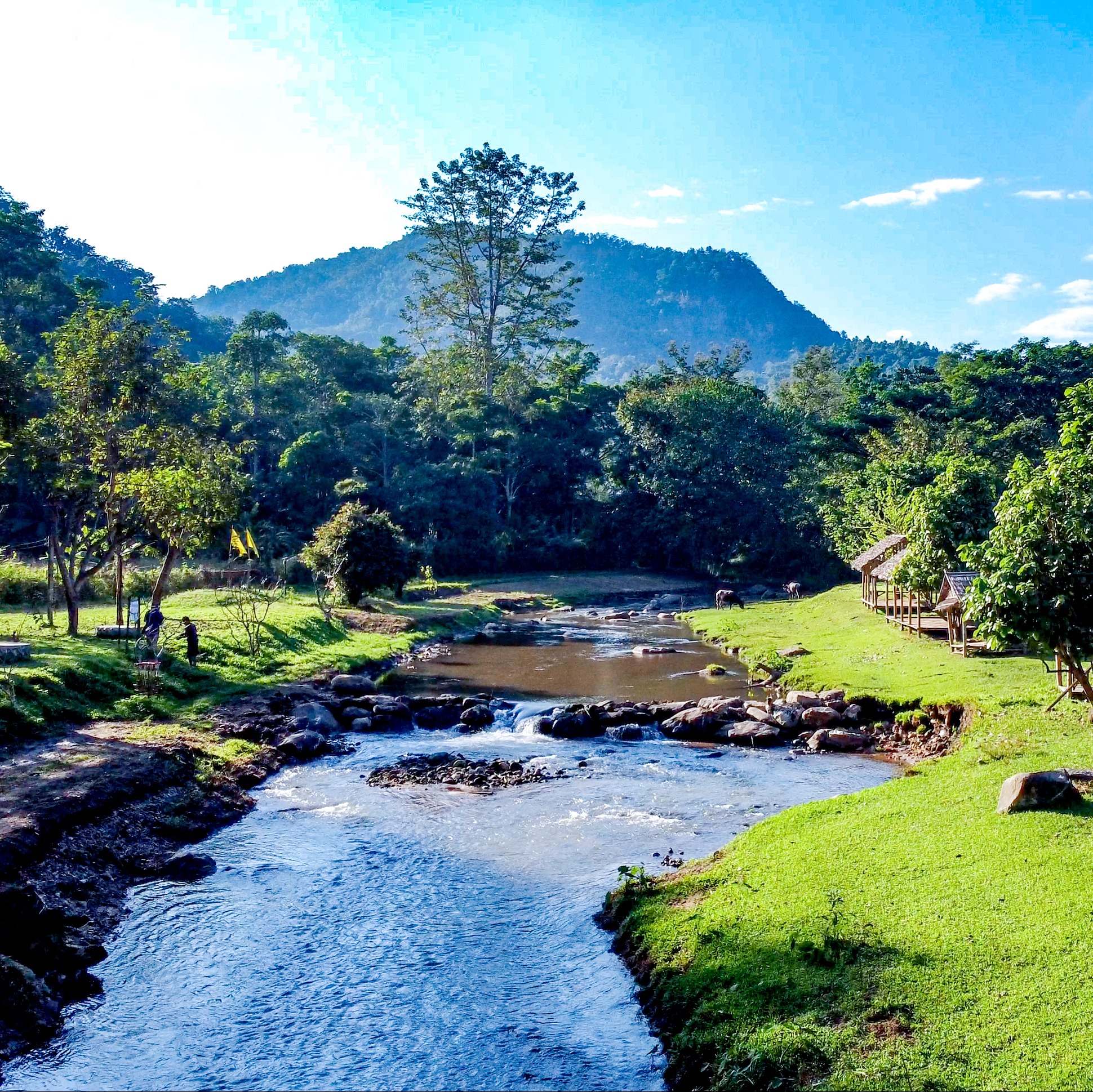 Lanna Rocks Disc Golf - Weekly Thursday Singles League