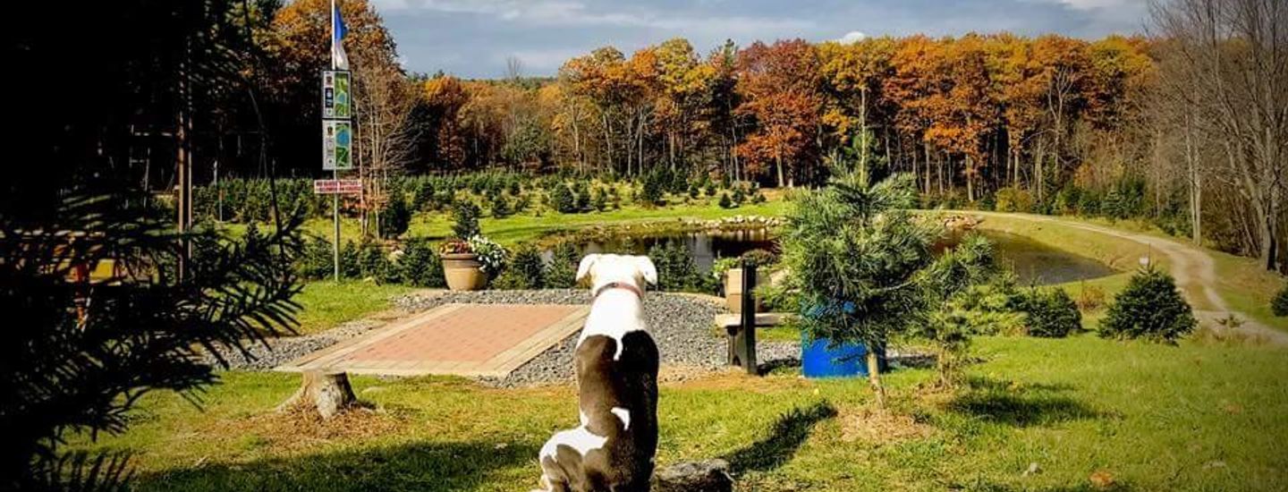 Memorial Flex for Able