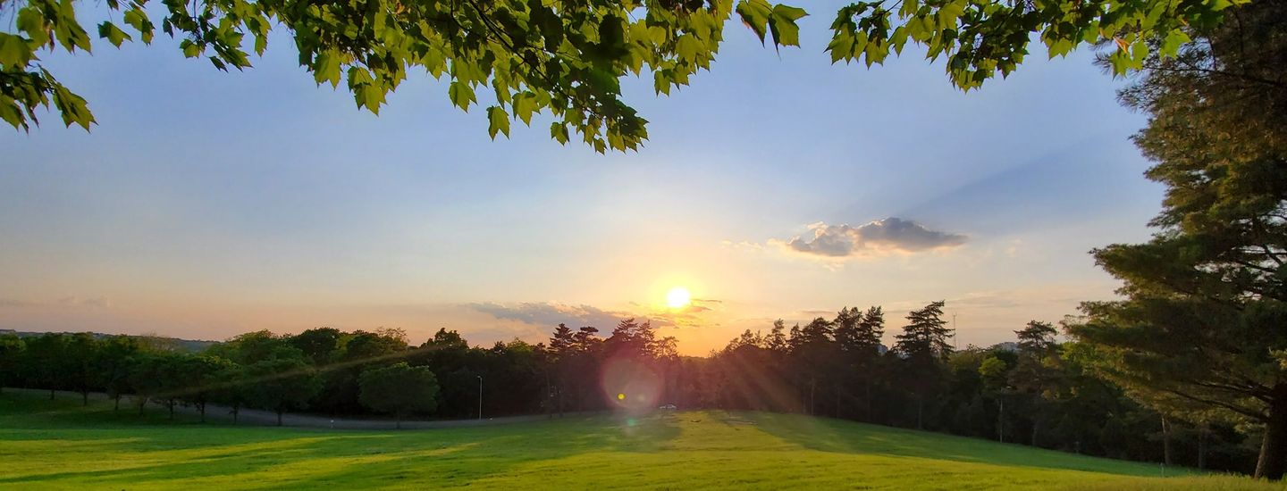 Schenley Park League - Schenley League - Week 24
