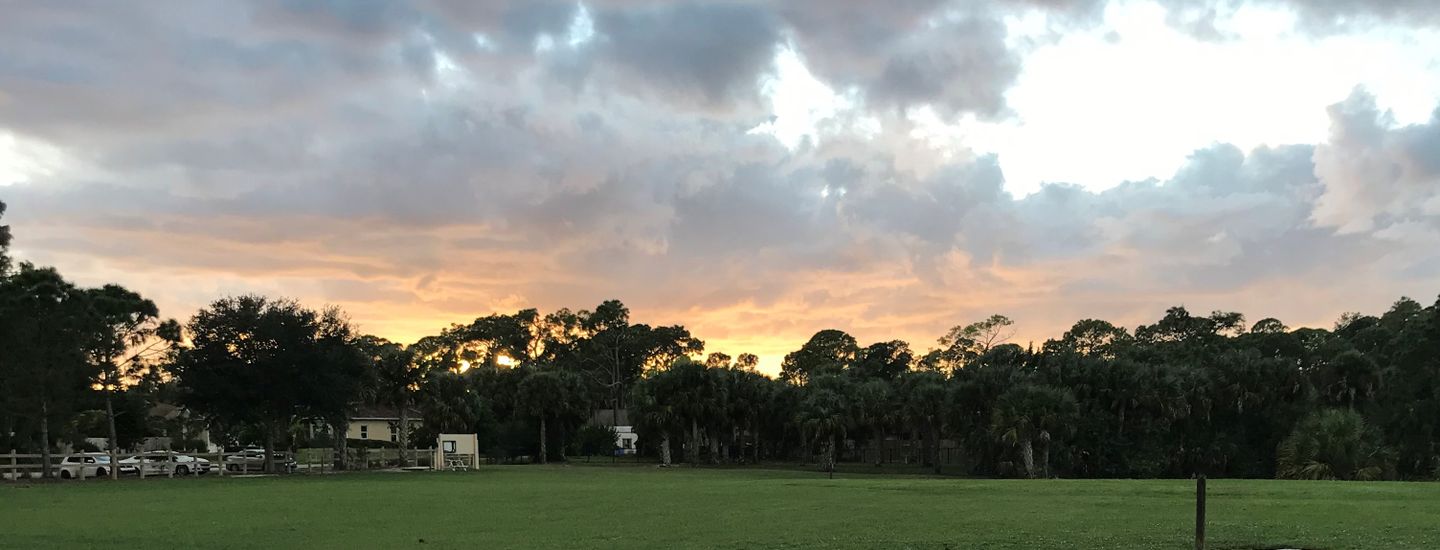 Naples - Thursday Nights