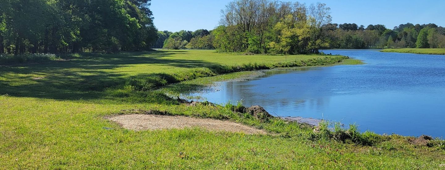 River Region DGC - Singles at Drive-In