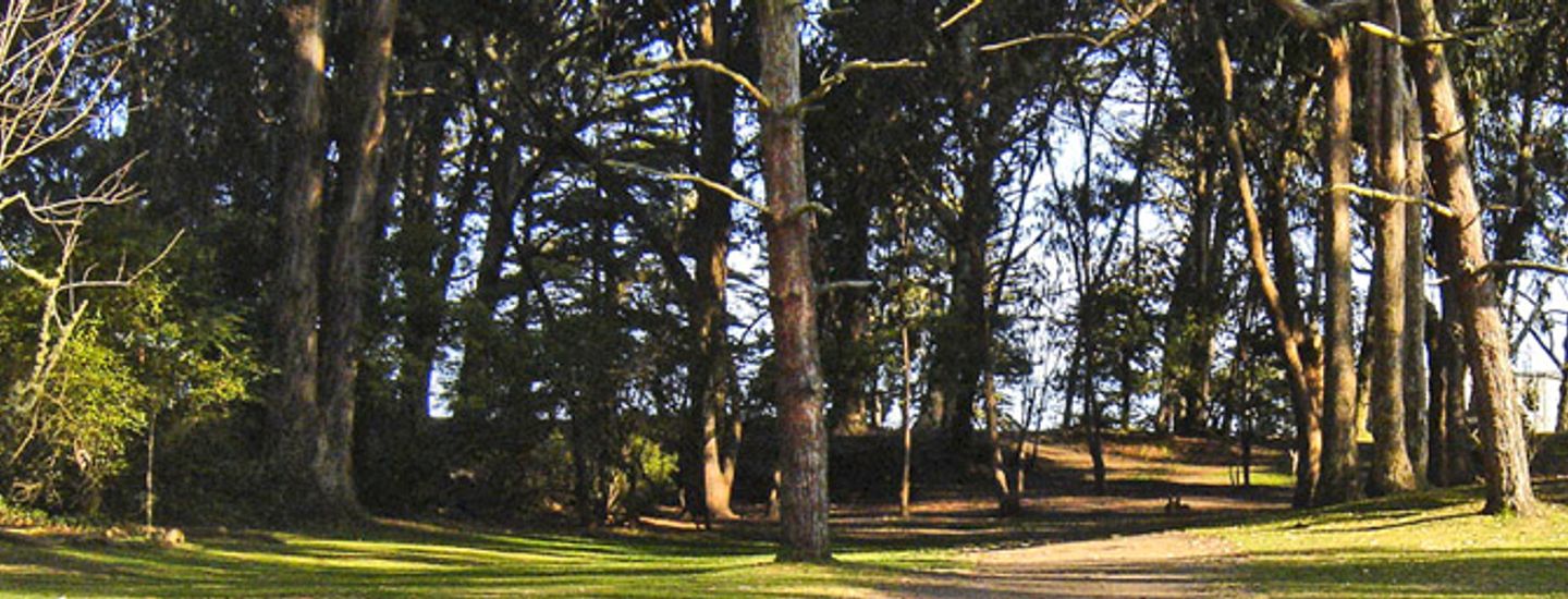Golden Gate Park Doubles