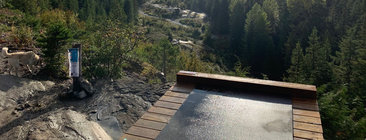 Whistler Disc Golf Club