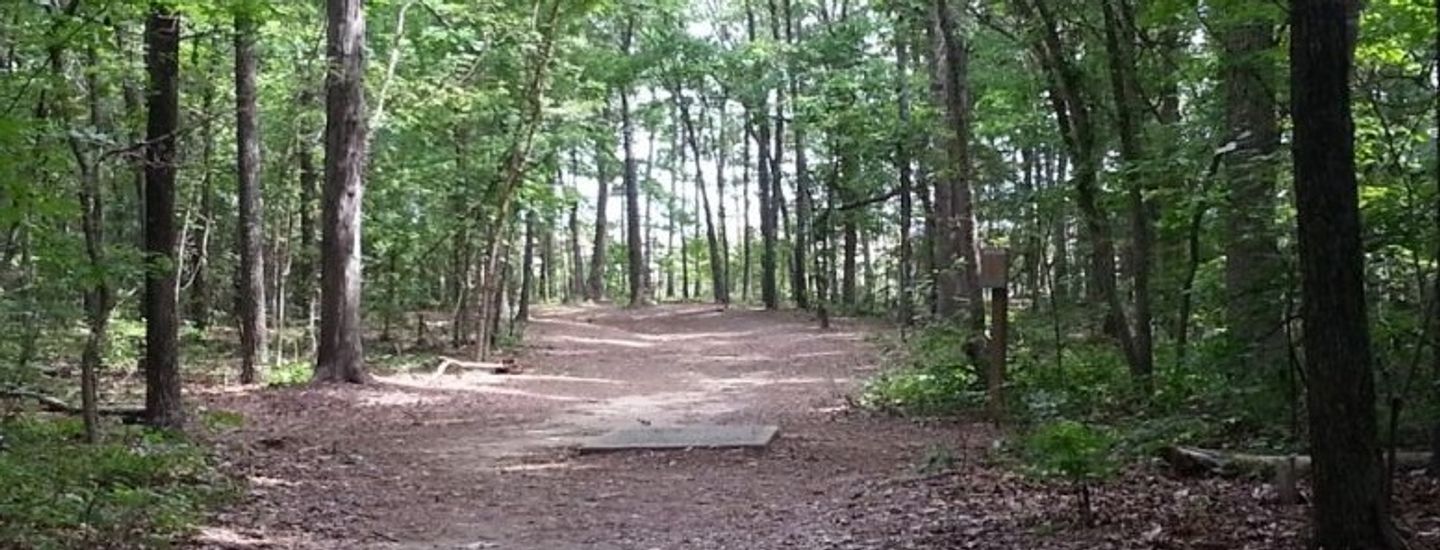 CharlotteDGC MixedDoubles