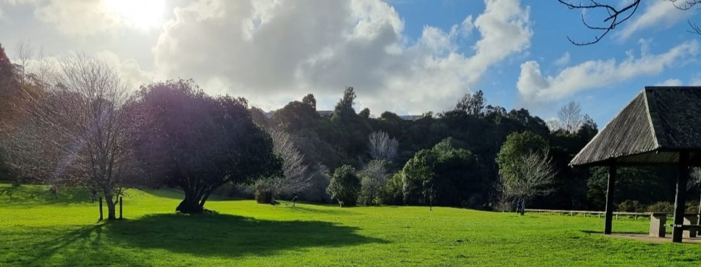 New Zealand Disc Golf Your Guide to Disc Golf in New Zealand UDisc