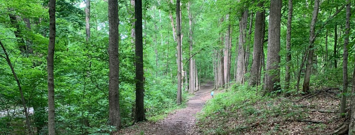 Iroquois Disc Golf League Louisville, KY UDisc Leagues