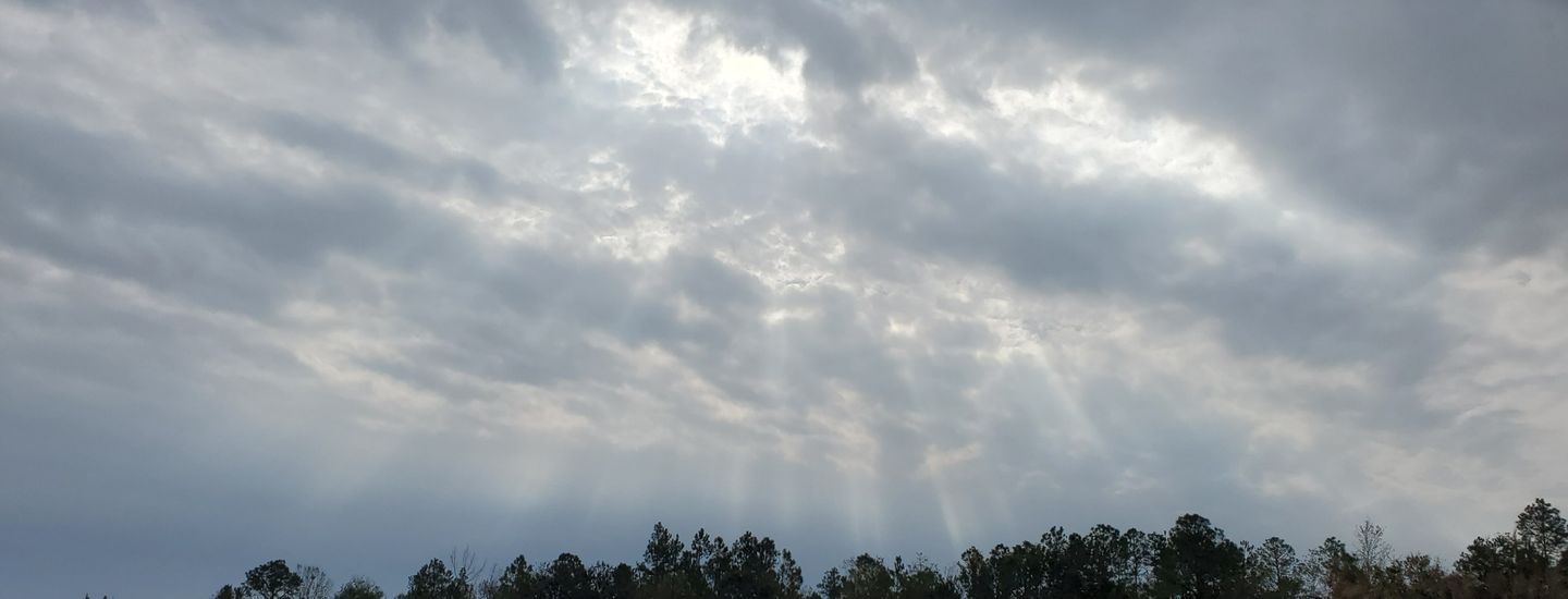 Singles at Graham Creek