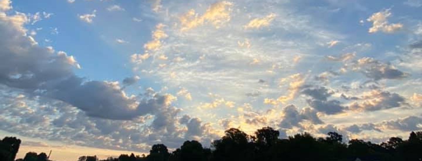 Longview Disc Golf Association
