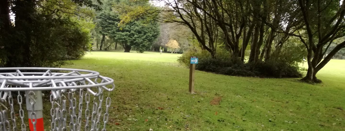 Causeway DGC League
