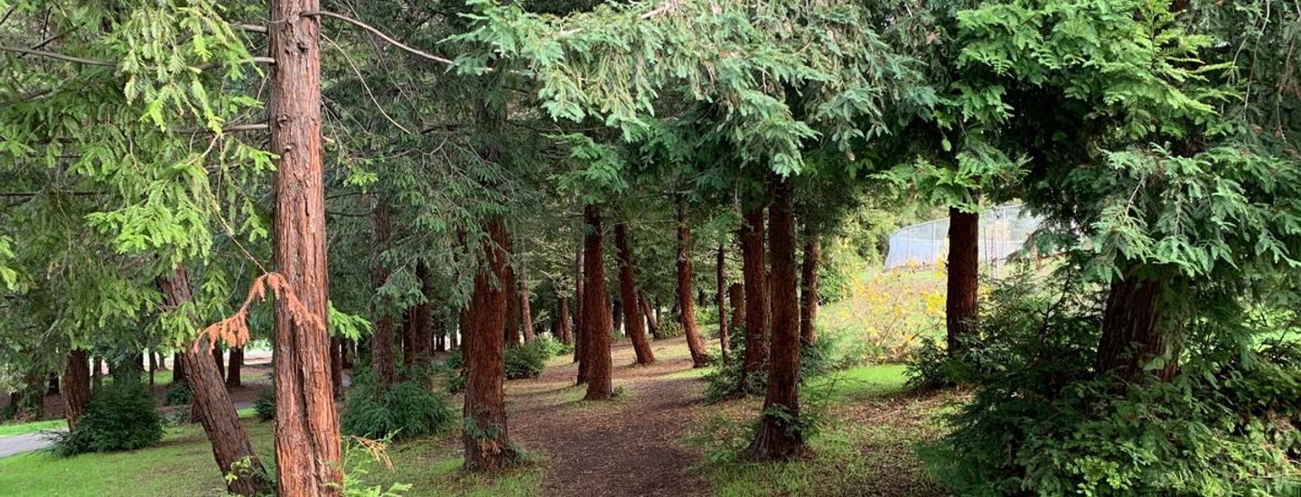 Nor Cal Disc Golf Junkies