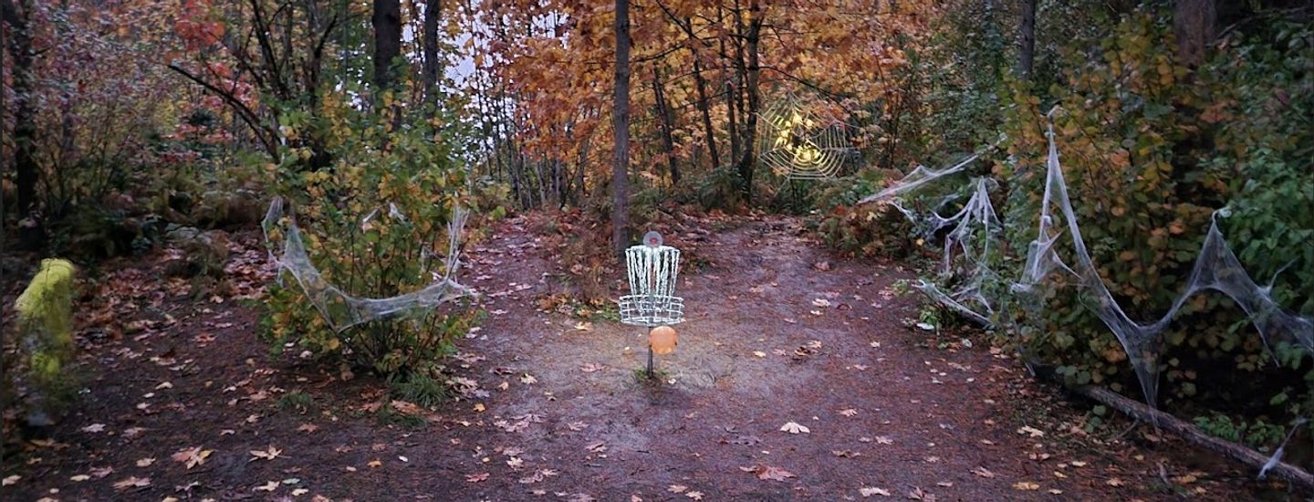 Wilsonville Wednesday Dubs