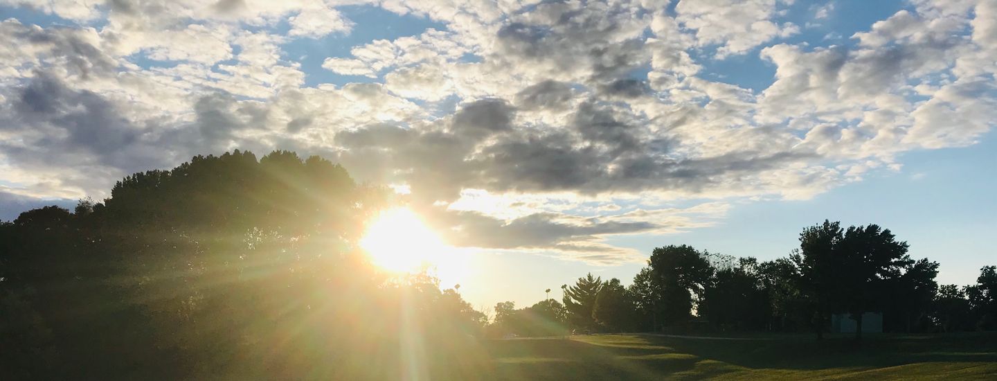 St. Louis Disc Golf Your Guide to Disc Golf in St. Louis, Missouri