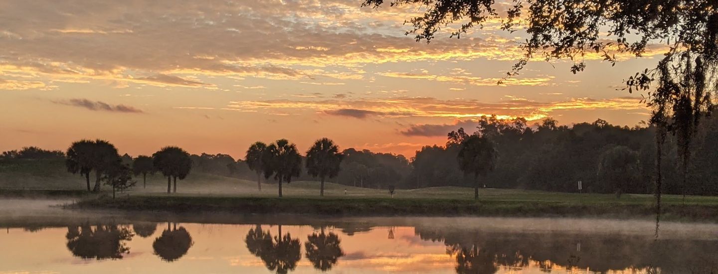 Estero Sunday Golds