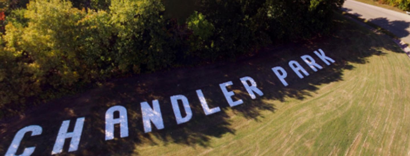 HILLIONS weekly mini - The Hillions DGC mini