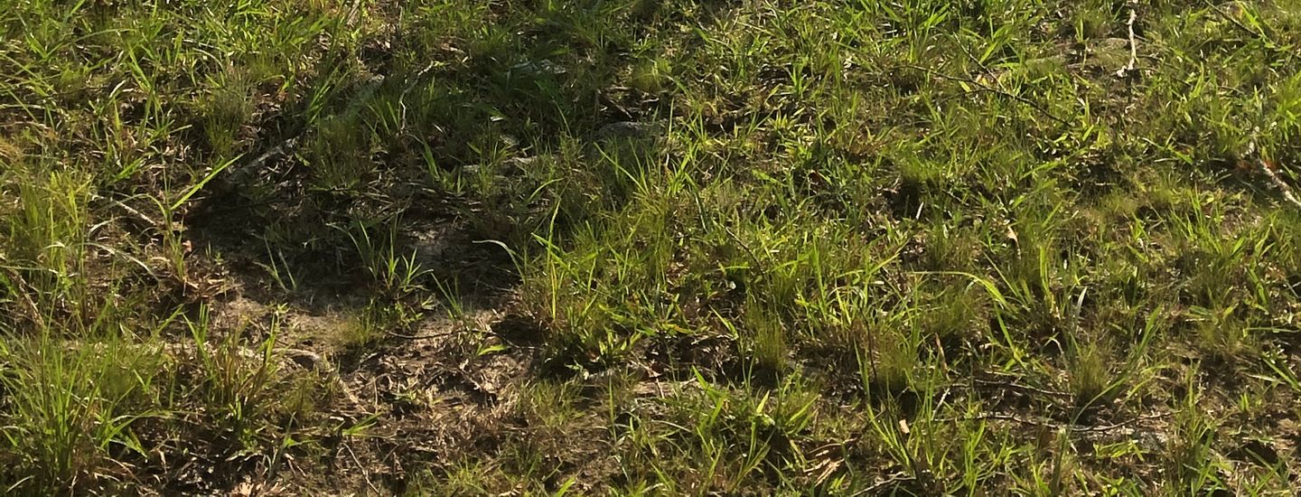 Washington County DGA