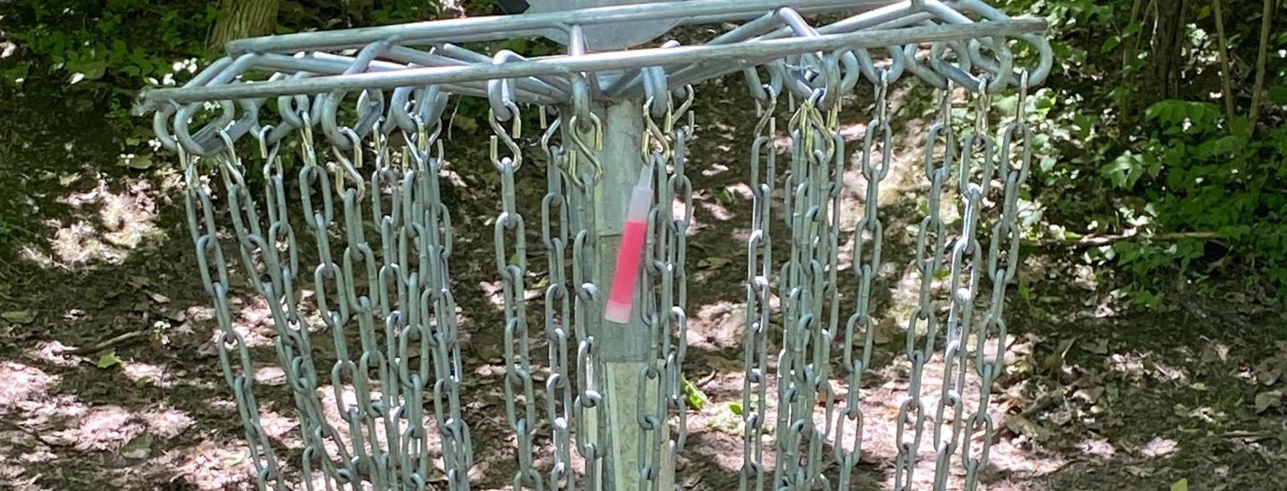 No Bounds Weekly 2023