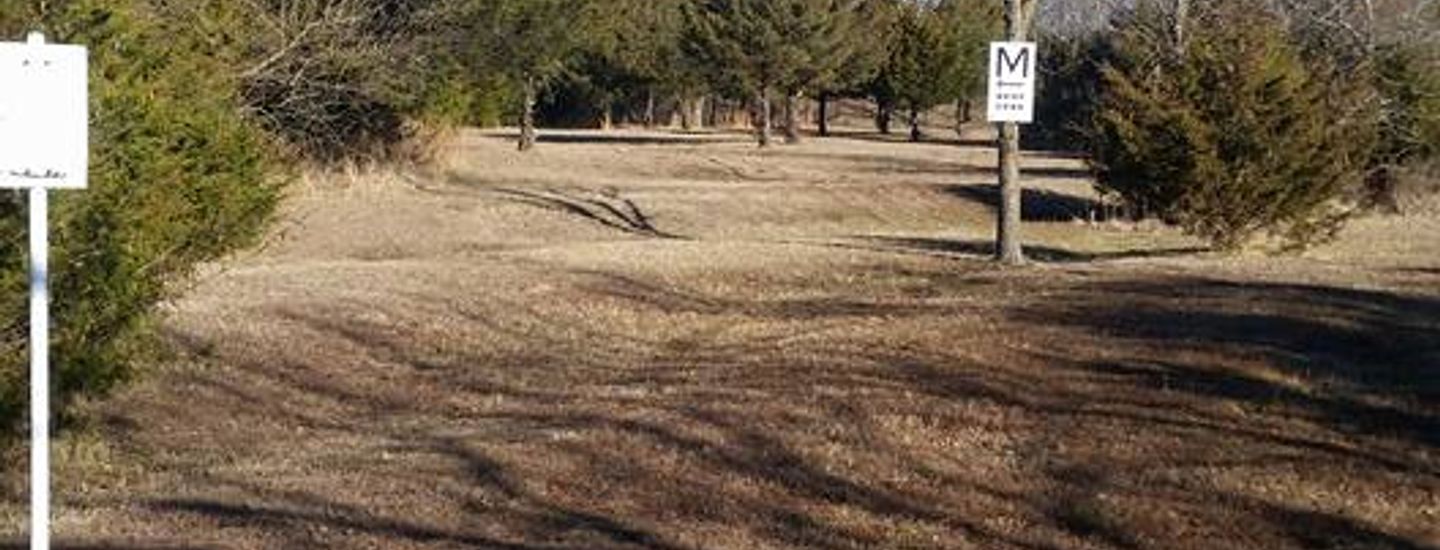 Altamont Disc Golf Club - League