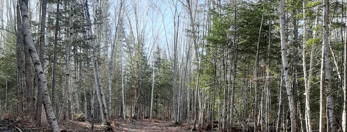 Ripples Tripples - April 18 | Season Opener