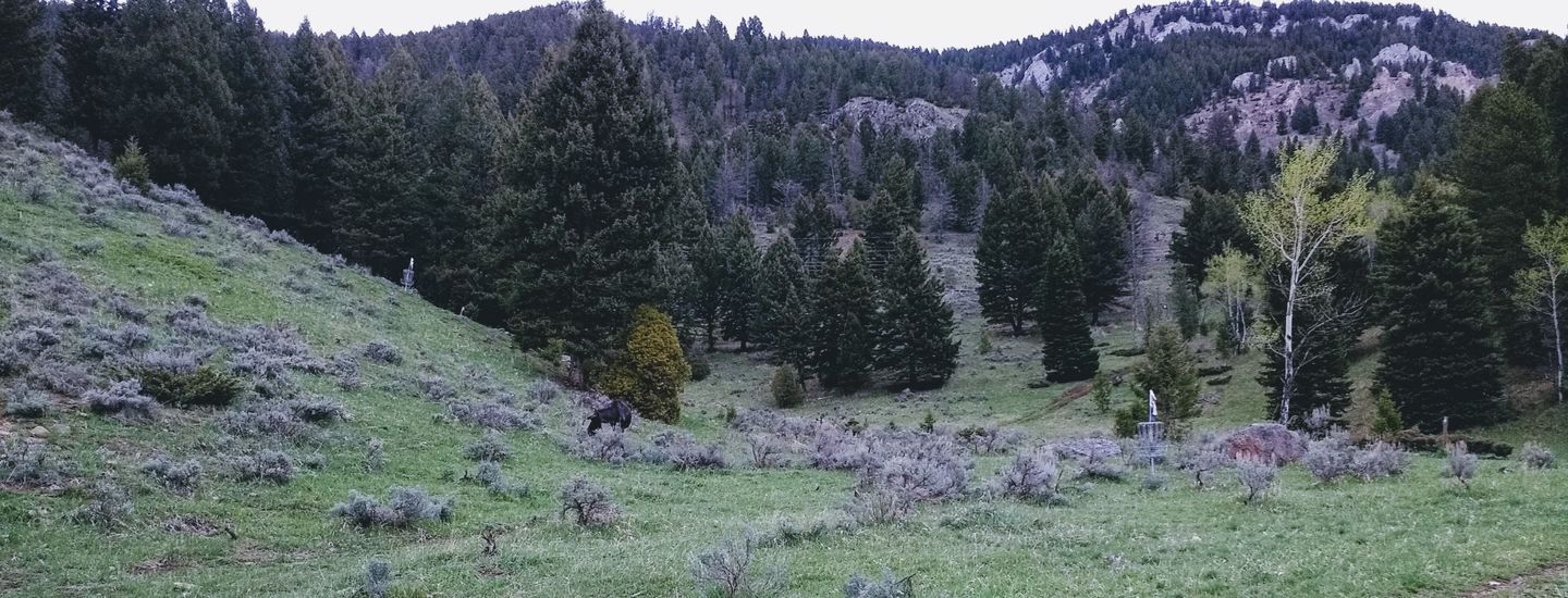 Bighorn Ridge Weekly - League Round