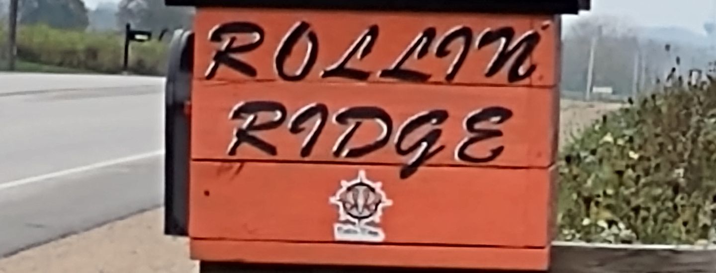 Ridge league - WEEK 6